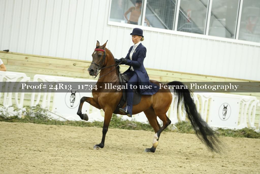 Proof 24R13_11734
