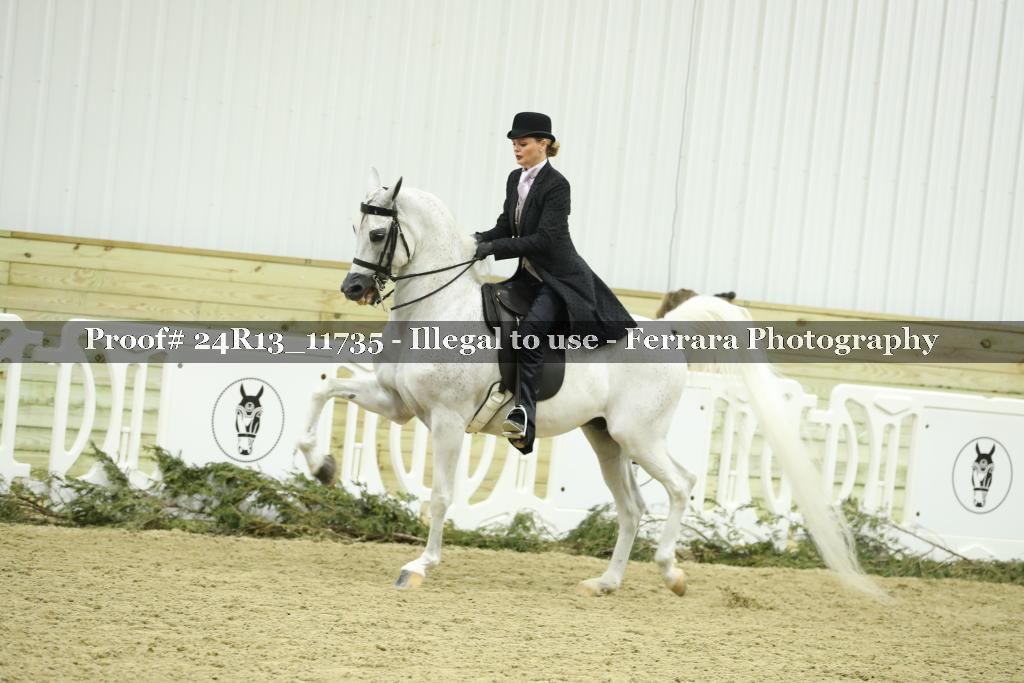 Proof 24R13_11735