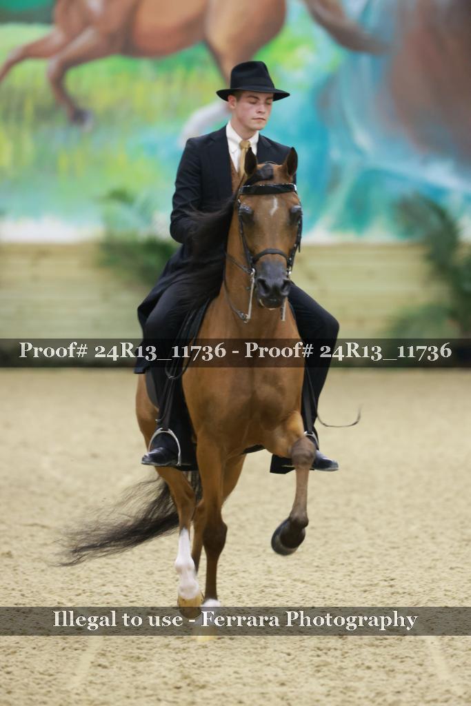 Proof 24R13_11736