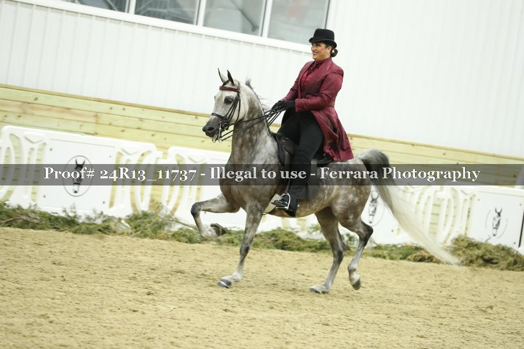 Proof 24R13_11737