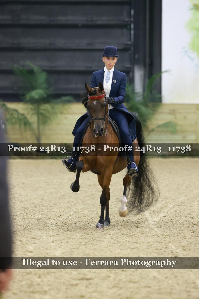 Proof 24R13_11738