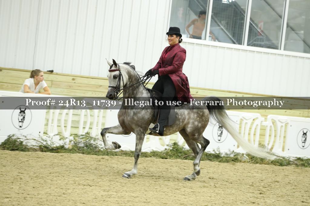 Proof 24R13_11739