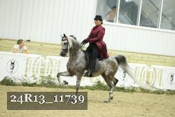 24R13_11739 proof