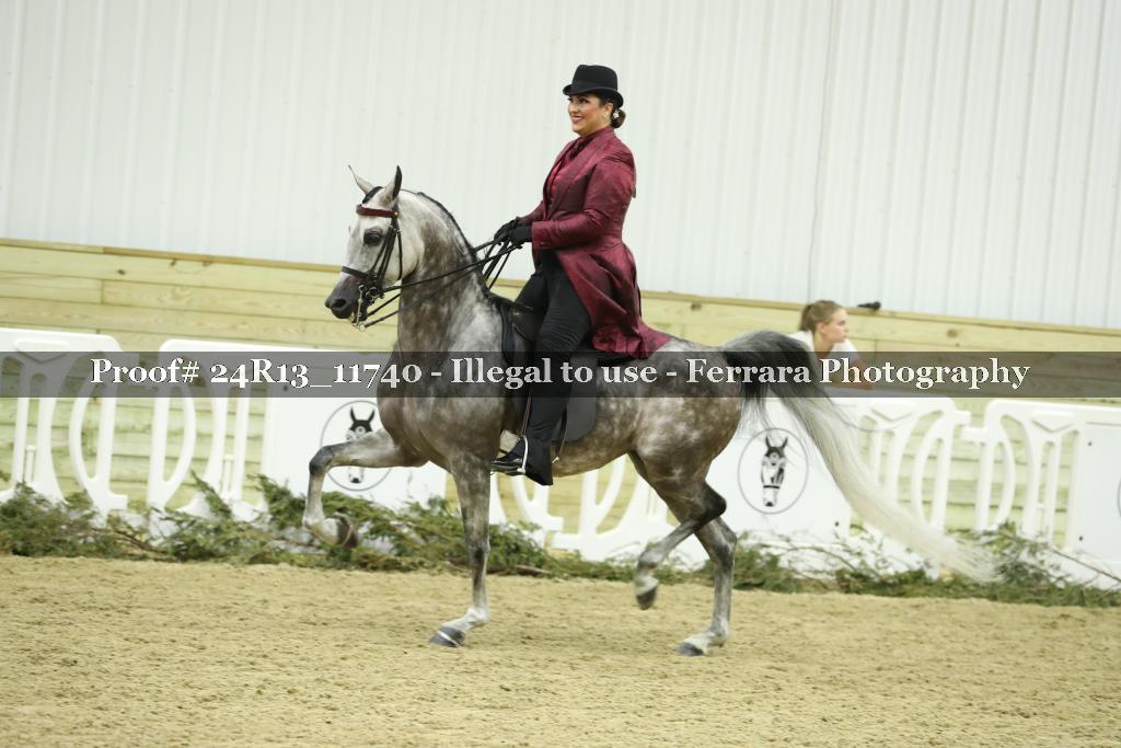 Proof 24R13_11740