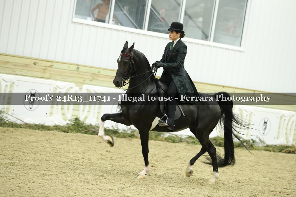 Proof 24R13_11741