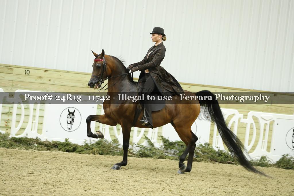 Proof 24R13_11742