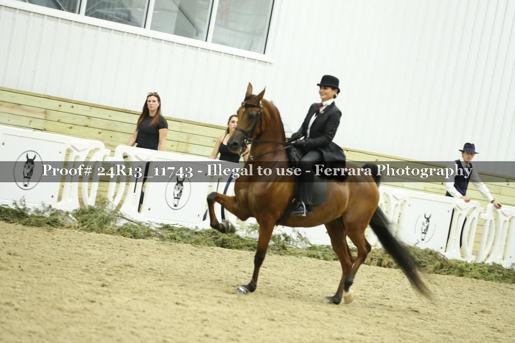 Proof 24R13_11743