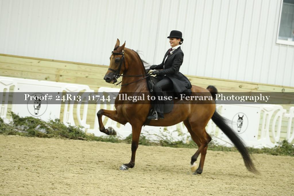Proof 24R13_11744