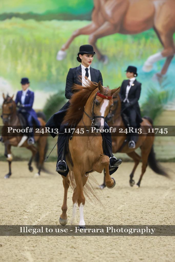 Proof 24R13_11745