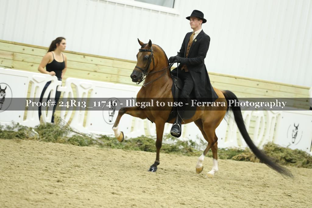 Proof 24R13_11746