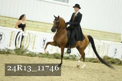24R13_11746 proof