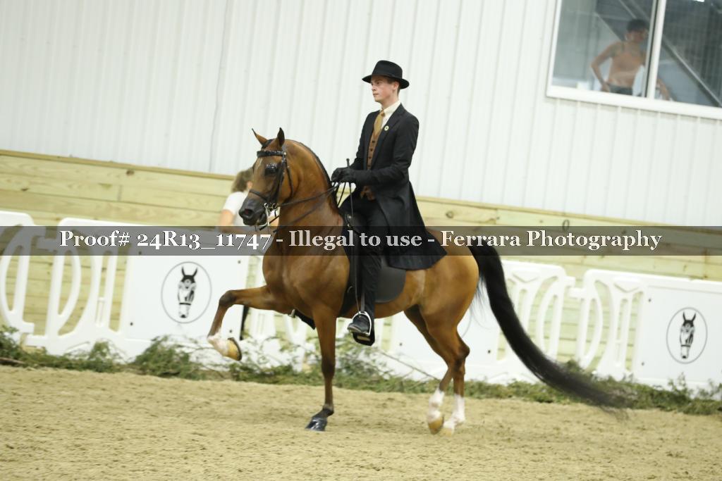 Proof 24R13_11747
