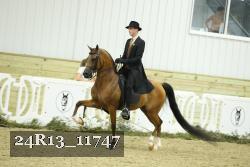 24R13_11747 proof