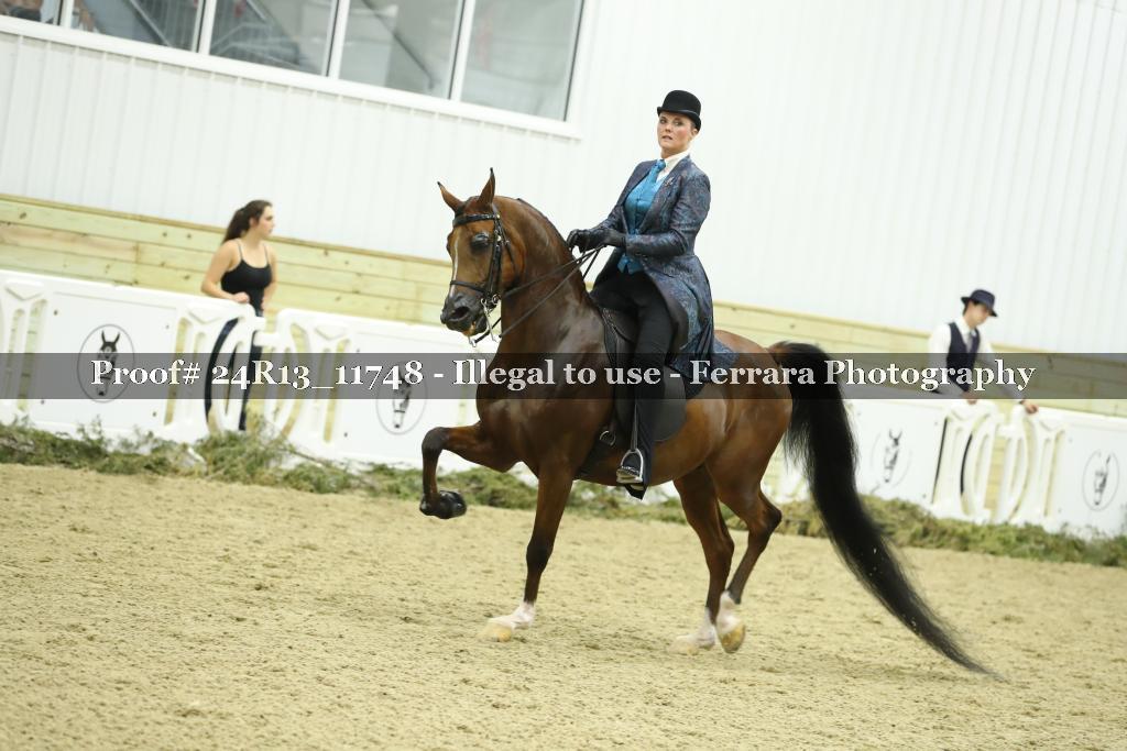 Proof 24R13_11748