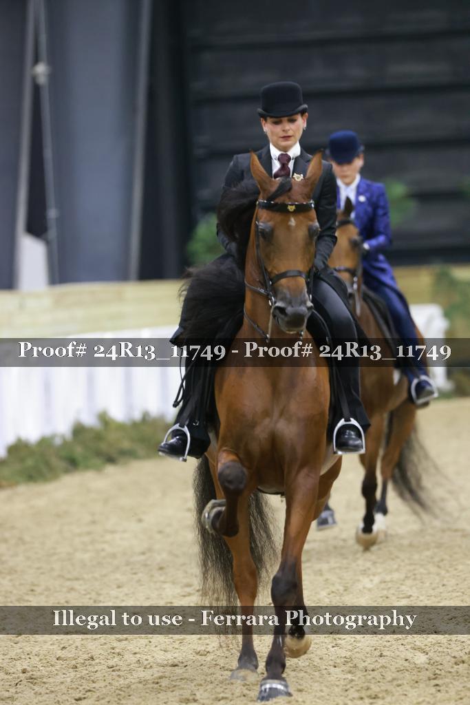 Proof 24R13_11749
