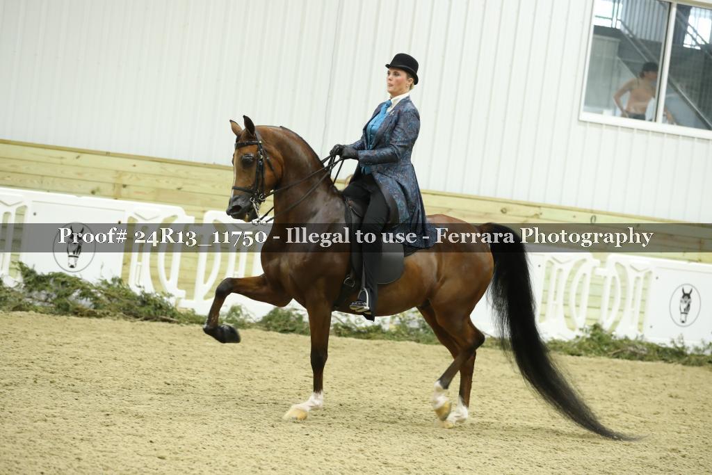 Proof 24R13_11750
