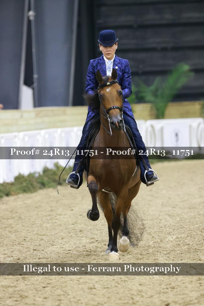 Proof 24R13_11751