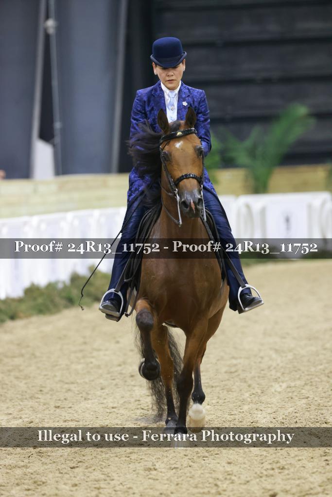 Proof 24R13_11752