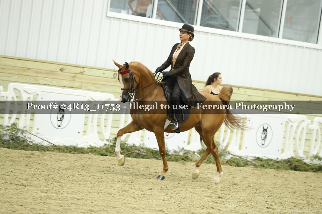 Proof 24R13_11753