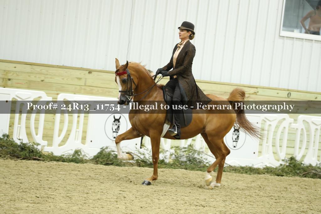 Proof 24R13_11754