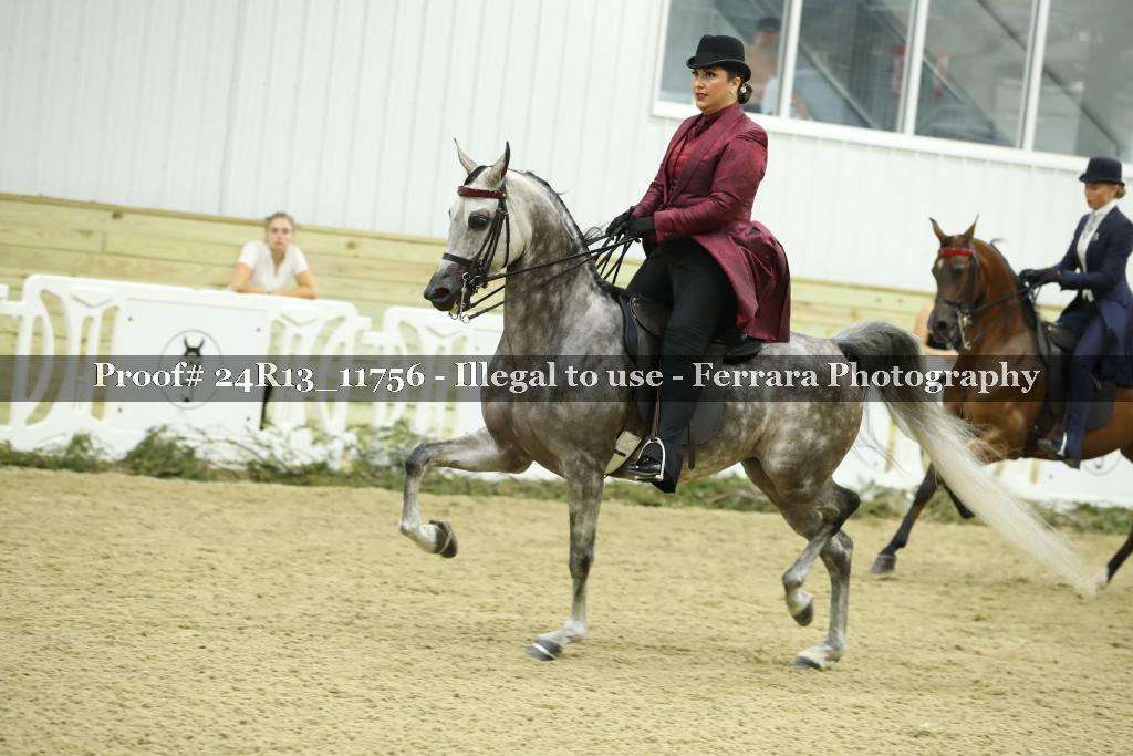 Proof 24R13_11756