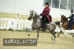 24R13_11756 proof