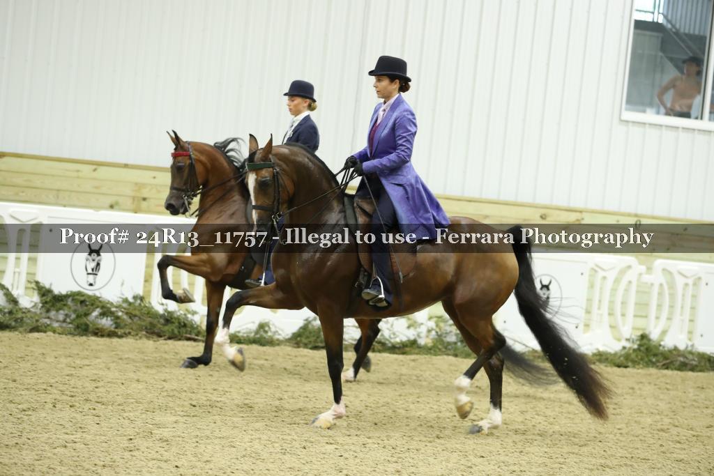 Proof 24R13_11757