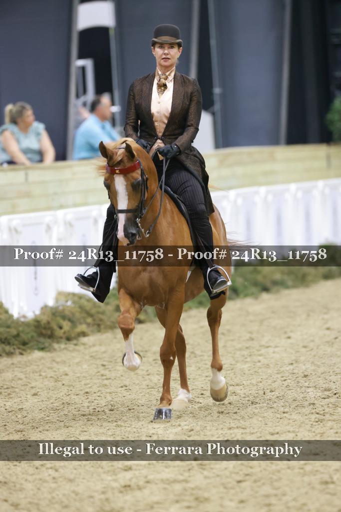 Proof 24R13_11758