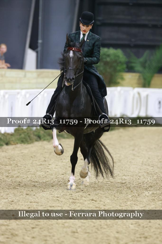 Proof 24R13_11759