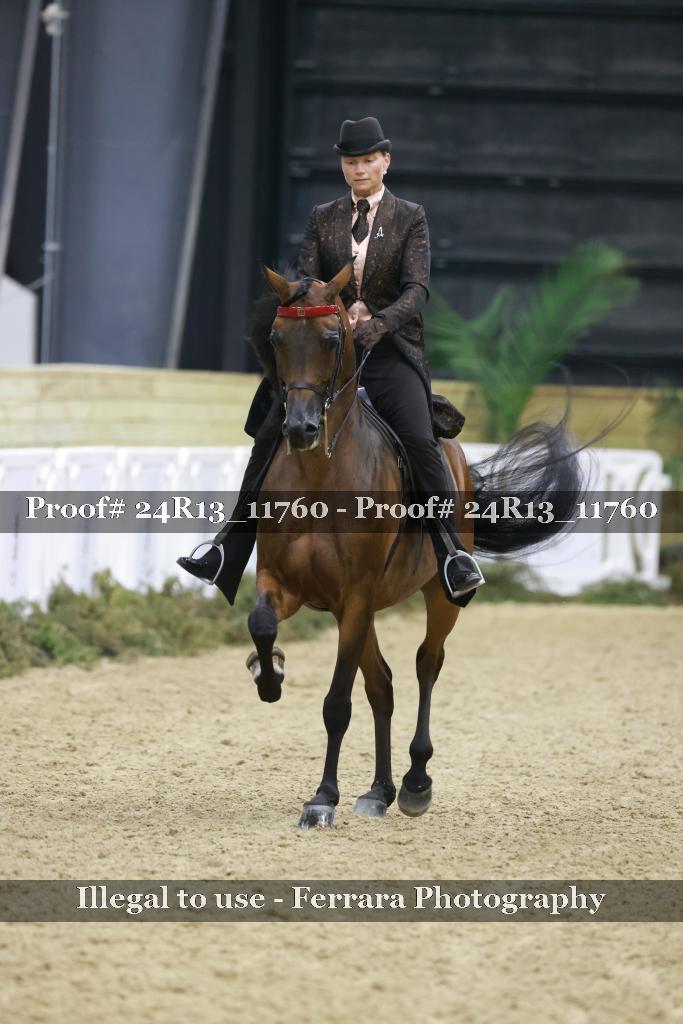 Proof 24R13_11760