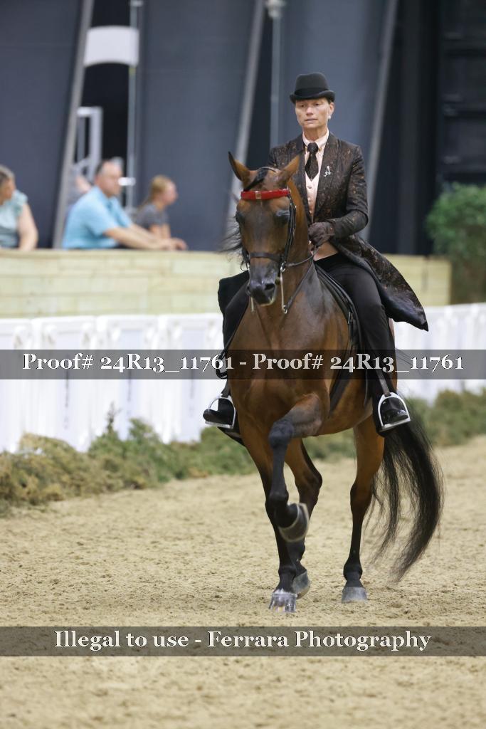 Proof 24R13_11761