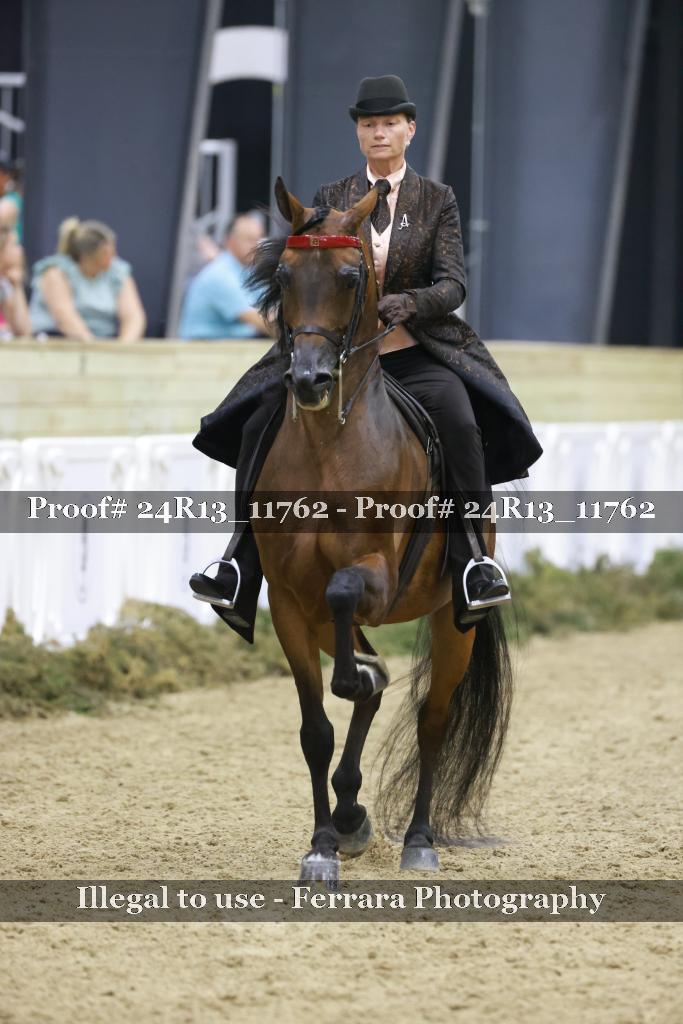 Proof 24R13_11762