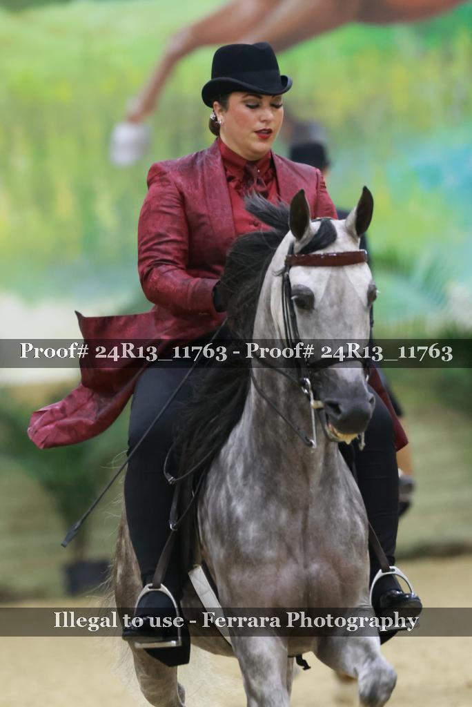 Proof 24R13_11763