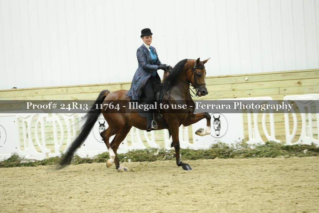 Proof 24R13_11764