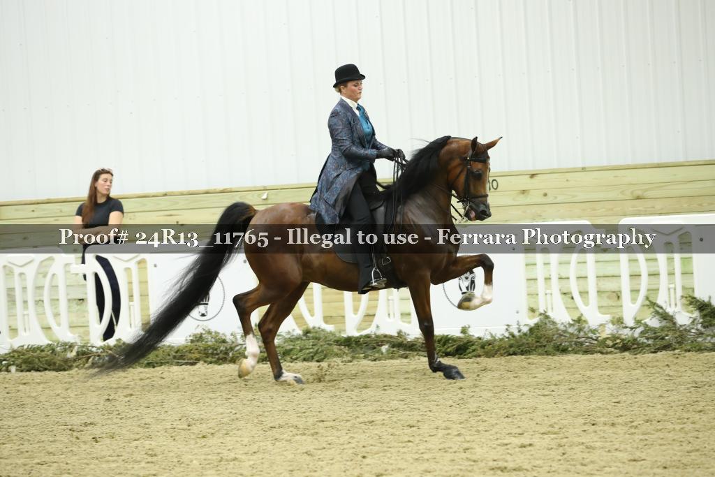 Proof 24R13_11765