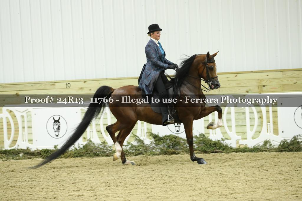 Proof 24R13_11766