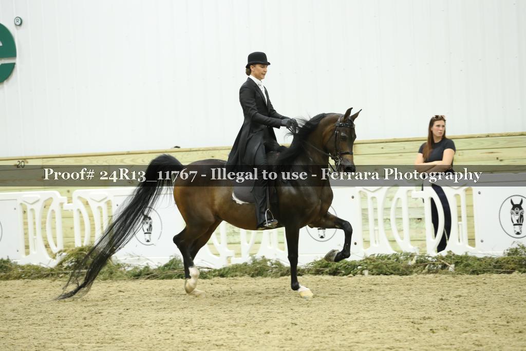 Proof 24R13_11767