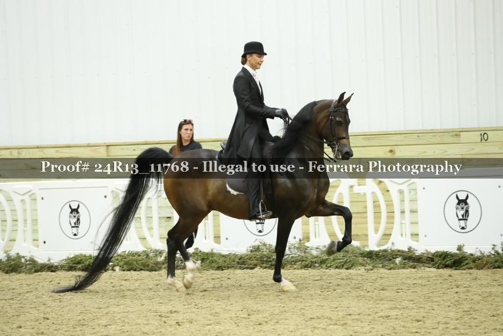 Proof 24R13_11768