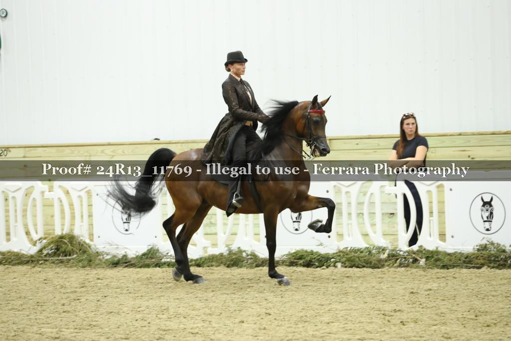Proof 24R13_11769