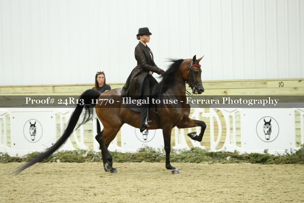 Proof 24R13_11770