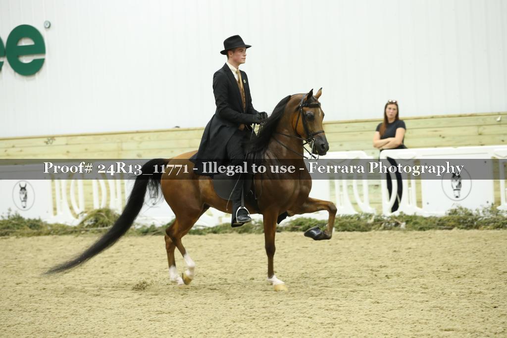 Proof 24R13_11771