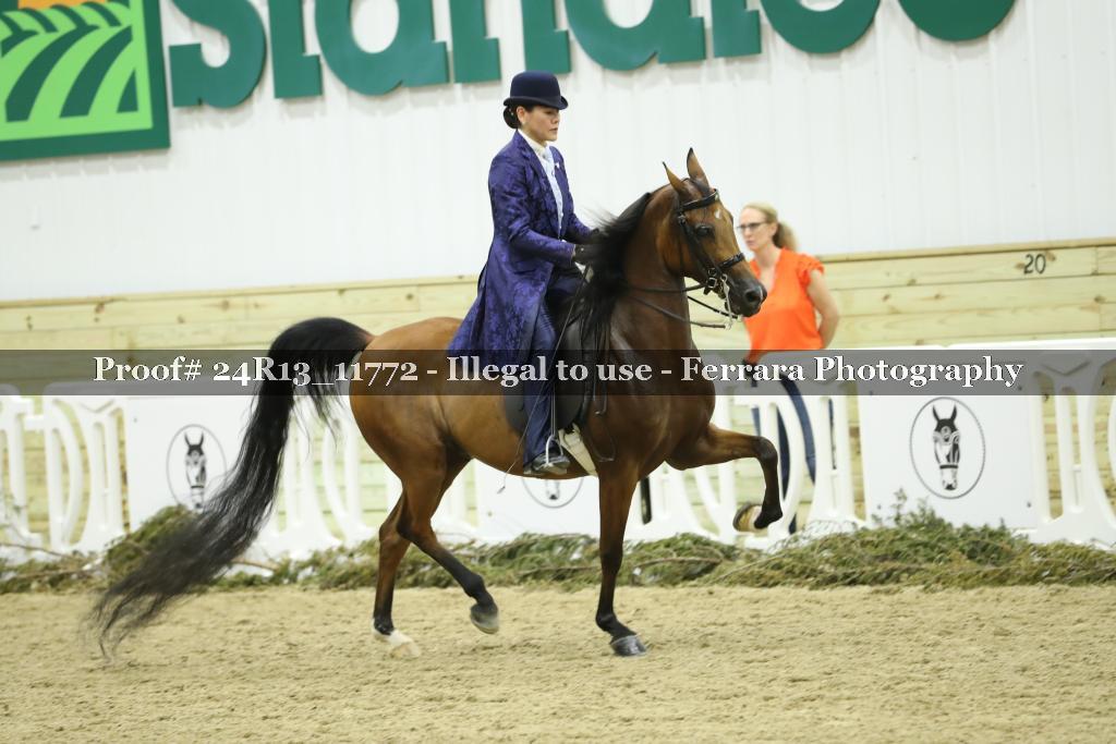 Proof 24R13_11772
