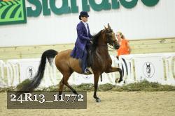 24R13_11772 proof