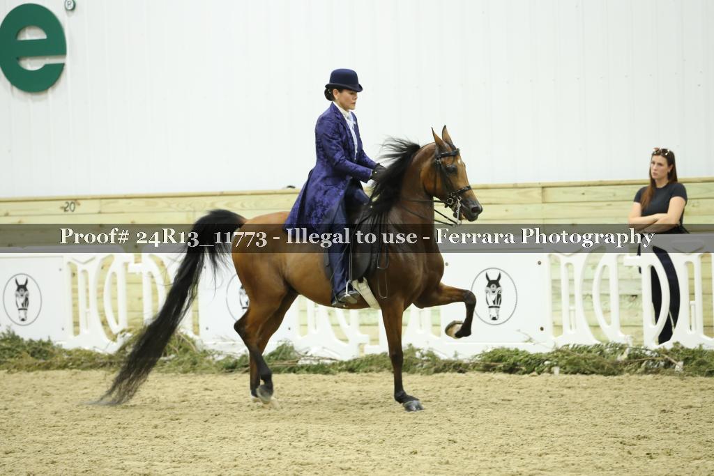 Proof 24R13_11773