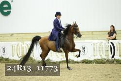 24R13_11773 proof