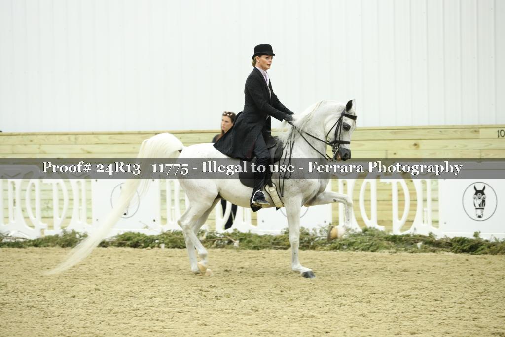 Proof 24R13_11775