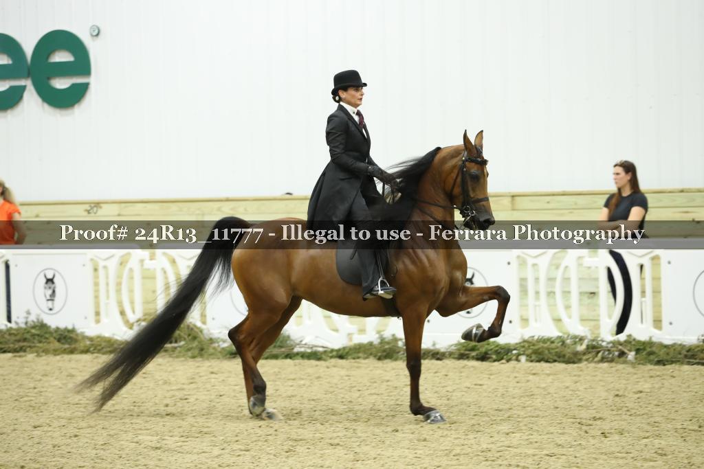 Proof 24R13_11777