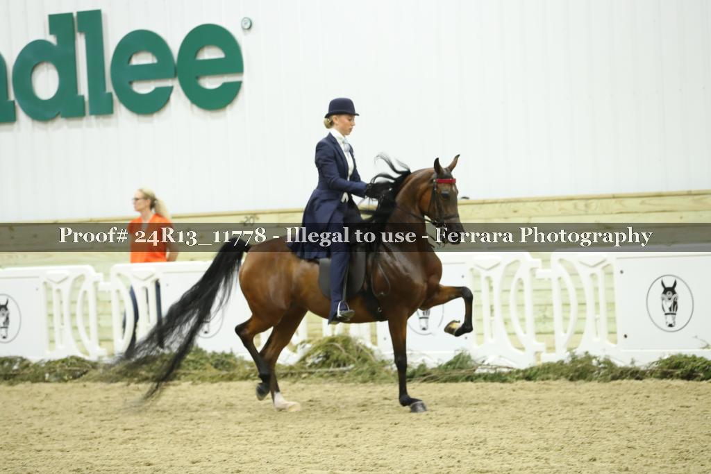Proof 24R13_11778