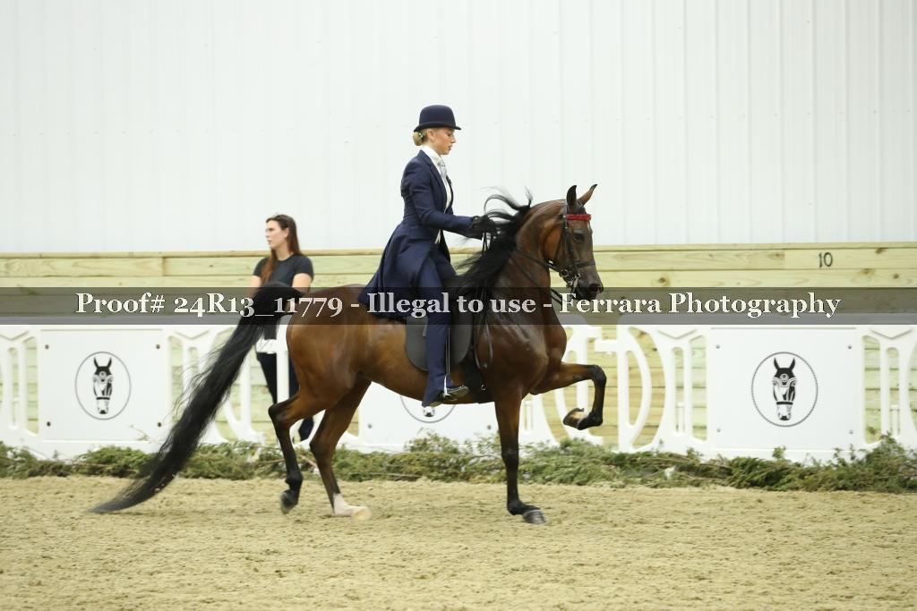 Proof 24R13_11779