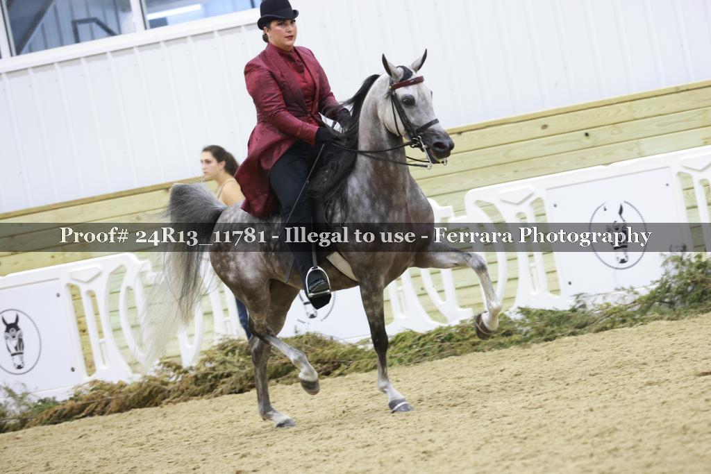 Proof 24R13_11781